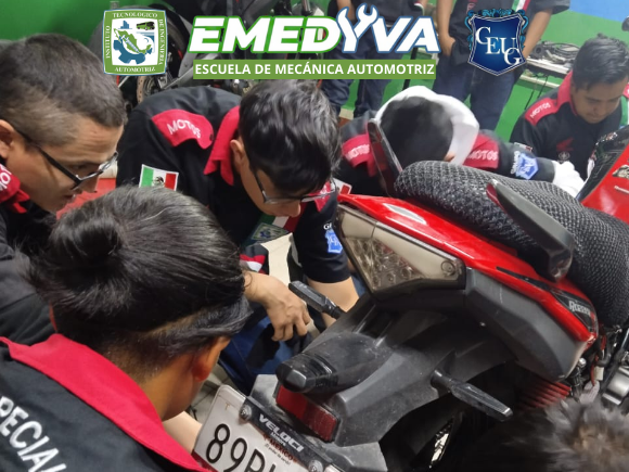 Diseño sin título (15)